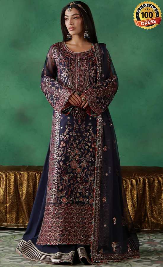 Embroidered Net AJULN-13 Dress (3) Embroidered Net AJULN-13 Dress (3)