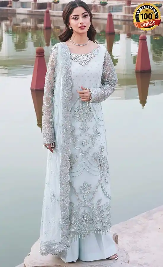 Embroidered Net I-262 Aabshaar Dress (4) Embroidered Net I-262 Aabshaar Dress (4)