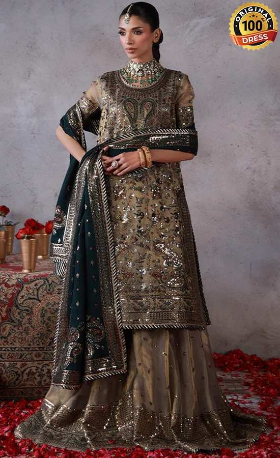 Embroidered Zari Check Net AJULN-19 Dress (1) Embroidered Zari Check Net AJULN-19 Dress (1)